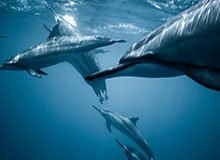 开云-Kaiyun开云中国官网：云端生活的新入口与信赖之源